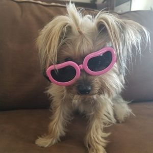 Meet your Posher, Rochelle